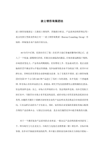 波士顿咨询集团法(doc7)(1)