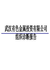 有色金属投资有限公司组织诊断报告