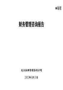 某某置业公司财务诊断报告