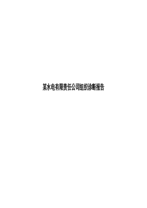 某水电有限责任公司组织诊断报告(151)