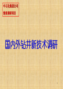 国内外钻井新技术ppt课件