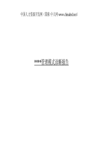 某知名企业管理模式诊断--中文PDF210