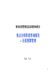 焦点分析阶段咨询报告(ppt79页