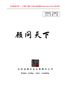 王家荣-北京某咨询公司内部专刊《顾问天下》