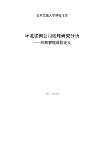 环境咨询公司战略研究