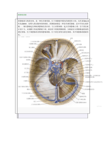 桥小脑角区占位性病变诊断与鉴别