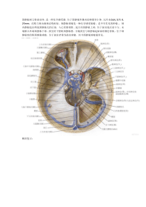 商务礼仪训练(1)