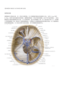 桥小脑角占位性病变诊断与鉴别