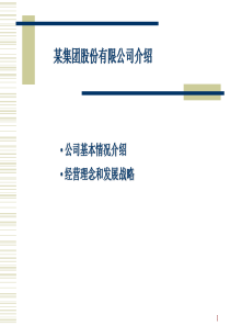 某知名公司的战略及企业文化(44页)