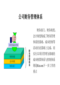 着名咨询公司内部资料财务制度