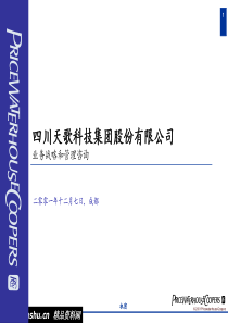 科技公司业务战略与管理咨询