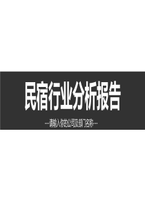 民宿市场分析报告ppt