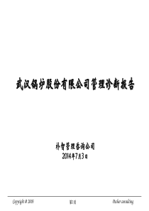 武汉锅炉股份有限公司管理诊断报告0703