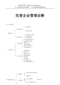 民营企业管理诊断(3)