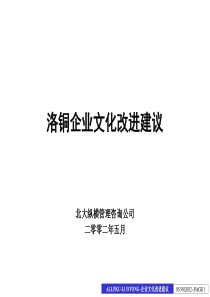 洛铜集团企业文化改进建议报告