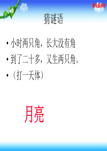 青岛版二年级上册科学2.8看月亮PPT课件