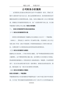 公司财务分析案例