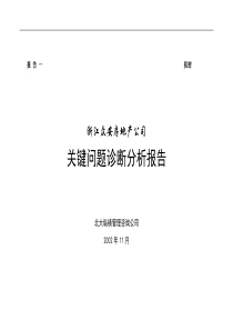 浙江众安关键问题诊断分析报告