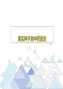 果实种子类中药鉴定共174页文档