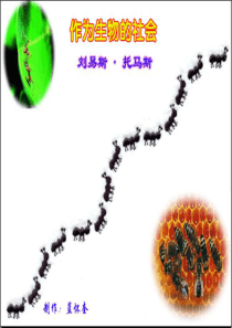 作为生物的社会