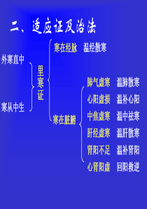 方剂学温里剂专题知识讲座