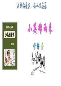 (六上)语文教学课件-《小英雄雨来》名著导读-(共20张PPT)部编版