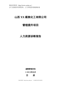 煤焦化工有限公司人力资源诊断报告(1)