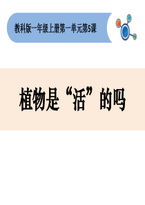 教科版小学科学一年级上册《植物是“活”的吗》