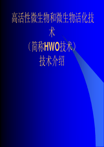 HWO污水处理技术介绍及广汇中试成果介绍-共103页