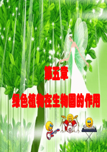 《绿色植物在生物圈中的作用》教学课件6-冀教版