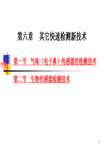 食品品质无损检测新技术-6(1)