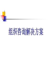 组织咨询解决方案（PPT 20页）