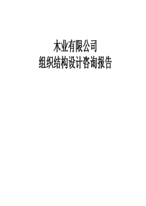 组织结构设计咨询报告