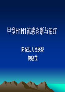 甲型H1N1流感诊断与