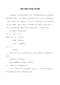 学校红十字会工作方案