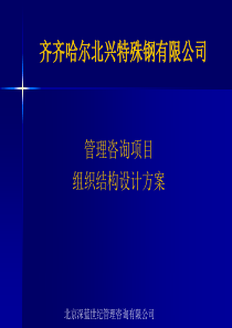 组织结构设置咨询报告-V2