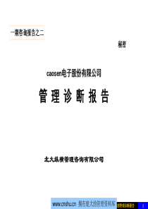 电子股份有限公司管理诊断报告