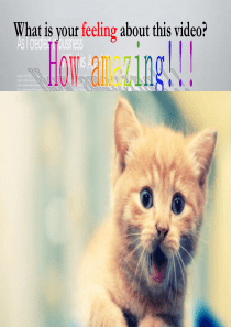 I-have-seen-amazing-things-公开课-PPT