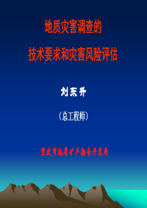 地质灾害调查的技术要求和灾害风险评估