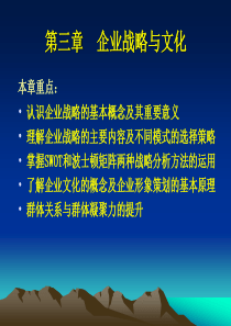 第三章企业战略与文化