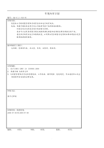 年度内审计划