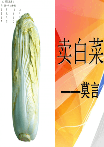 《卖白菜》详解