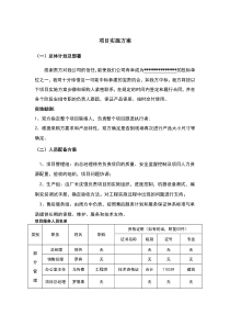 家具项目实施方案