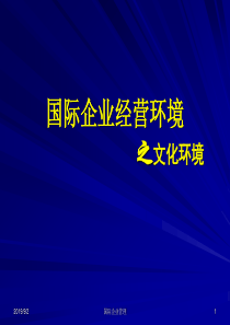 第六讲：国际企业环境分析之文化