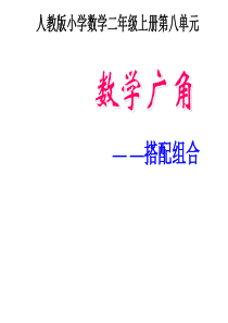 最新人教版二年级上册数学广角《搭配》精品课件