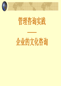 管理咨询实践——企业的文化咨询