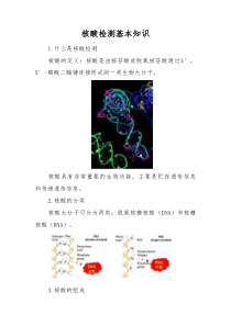 核酸检测基本知识