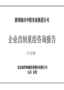 胜利油田中胜实业集团公司改制咨询报告