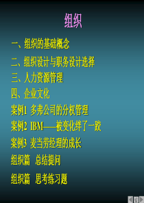 组织、人力资源管理、企业文化（PPT 66页）