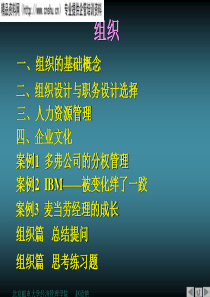 组织、人力资源管理、企业文化（PPT66页）